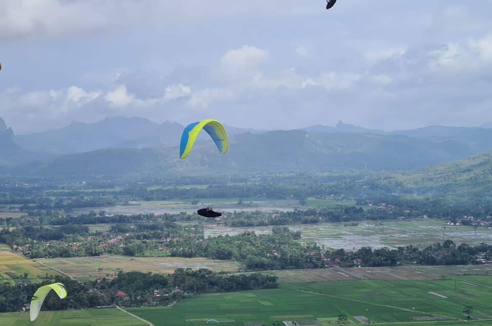 Mehrere Gleitschirmflieger beim Streckenfliegen hoch über einer weiten, grünen Landschaft aus Reisfeldern und Dörfern, mit Bergen am Horizont unter einem bewölkten Himmel.